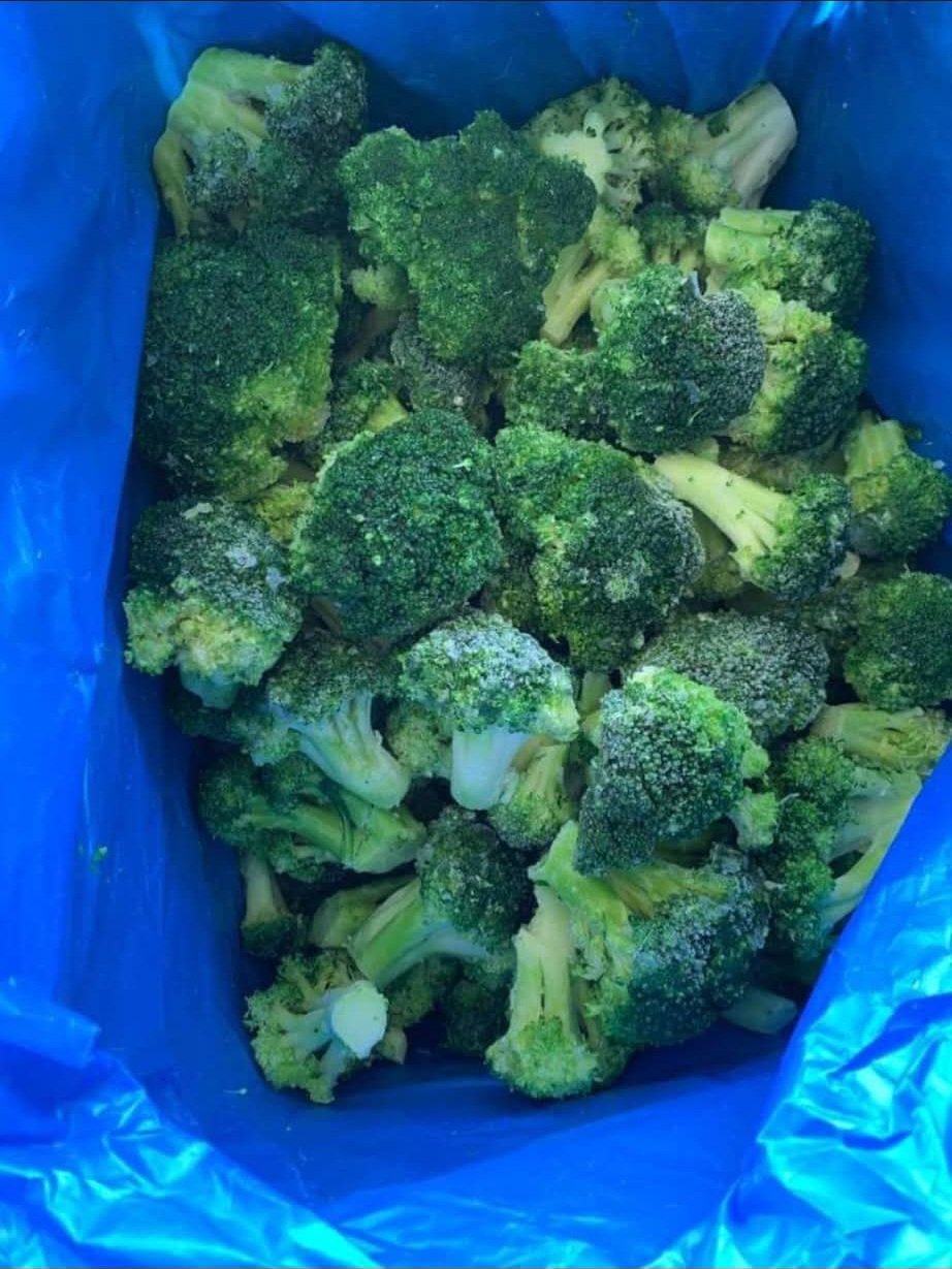 IQF Broccoli